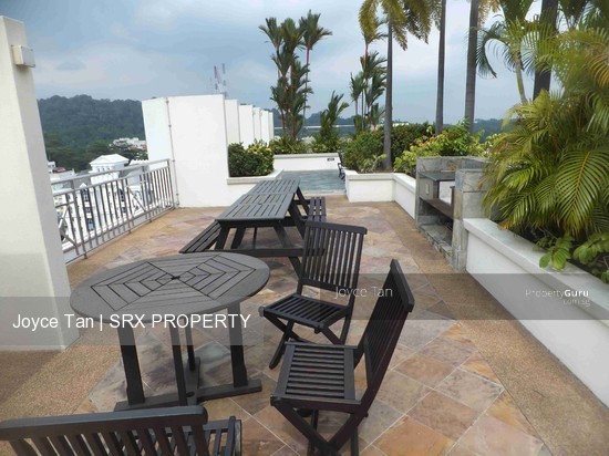 Patent Place (D21), Condominium #178016912